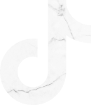 Tiktok Logo